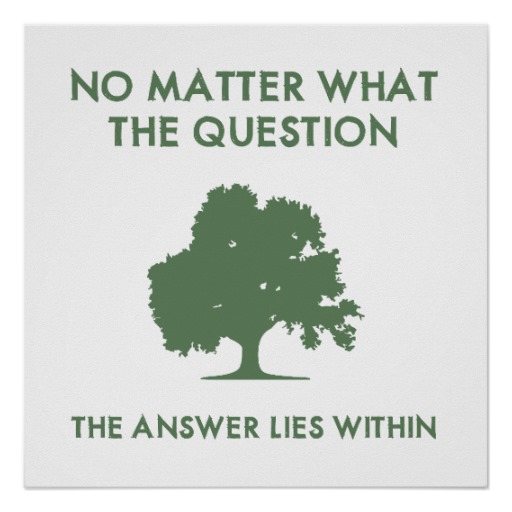 the_answer_lies_within_print-re3a4cd3c78b8463a85e1c528b0978819_wfb_8byvr_512